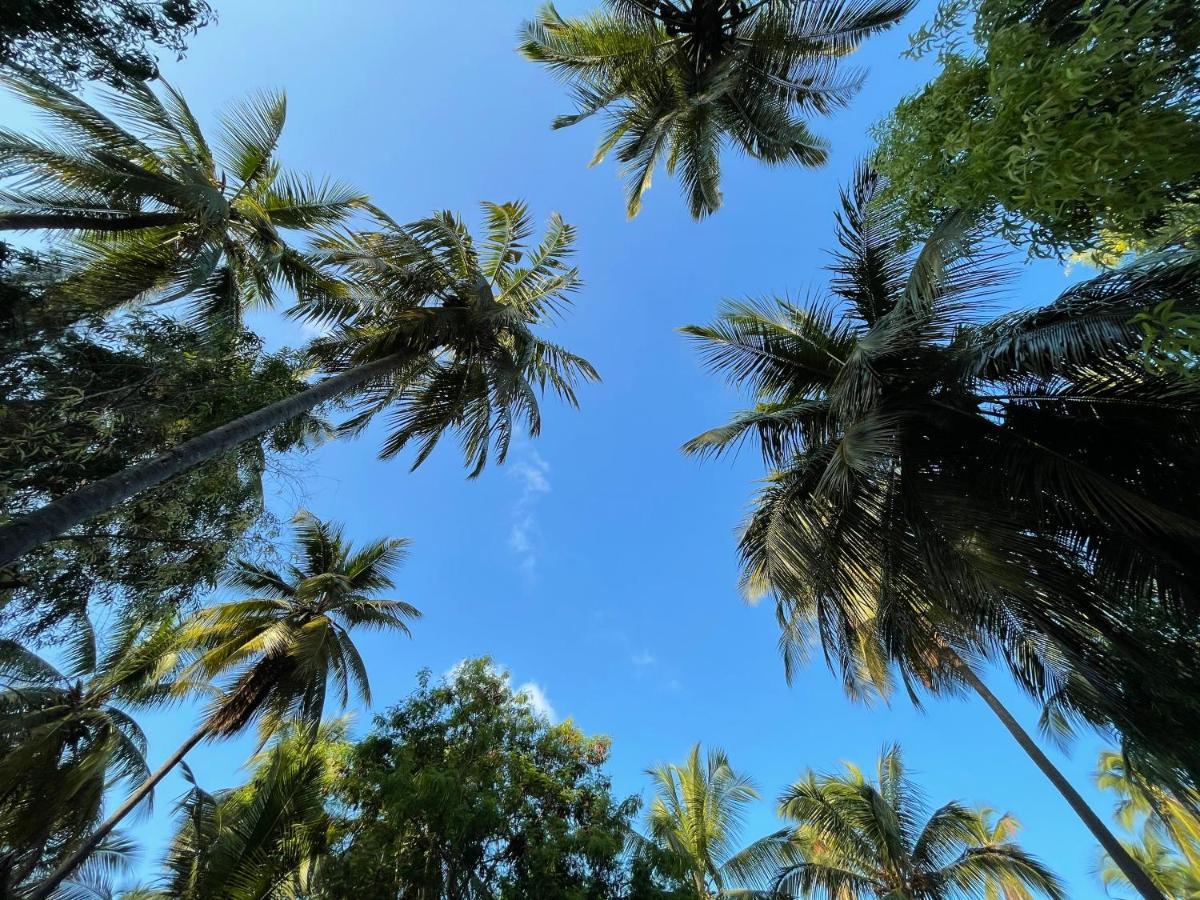 Your Zanzibar Place Падже Екстер'єр фото